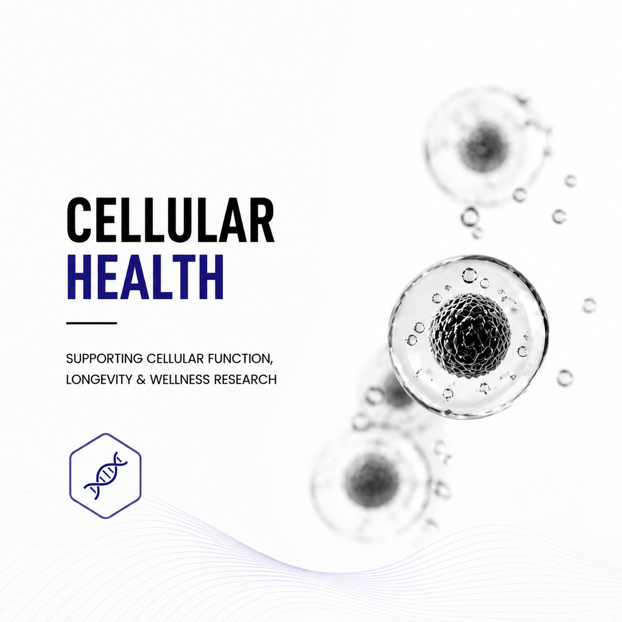 Advertisement for cellular health with images of cells and text on a white background